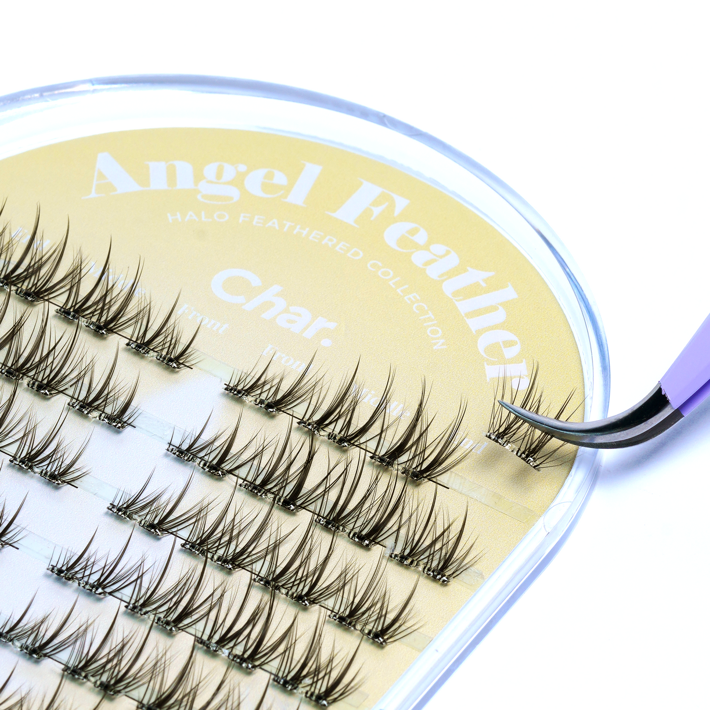 Angel Feather - Layered, Bold, Manga
