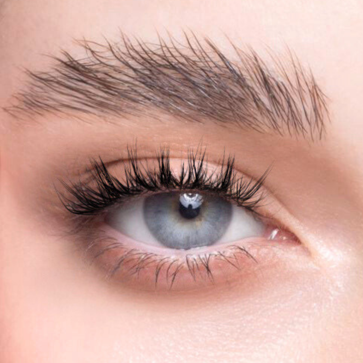 Sweet Whispies - Fluffy, Soft Glam, Elegant