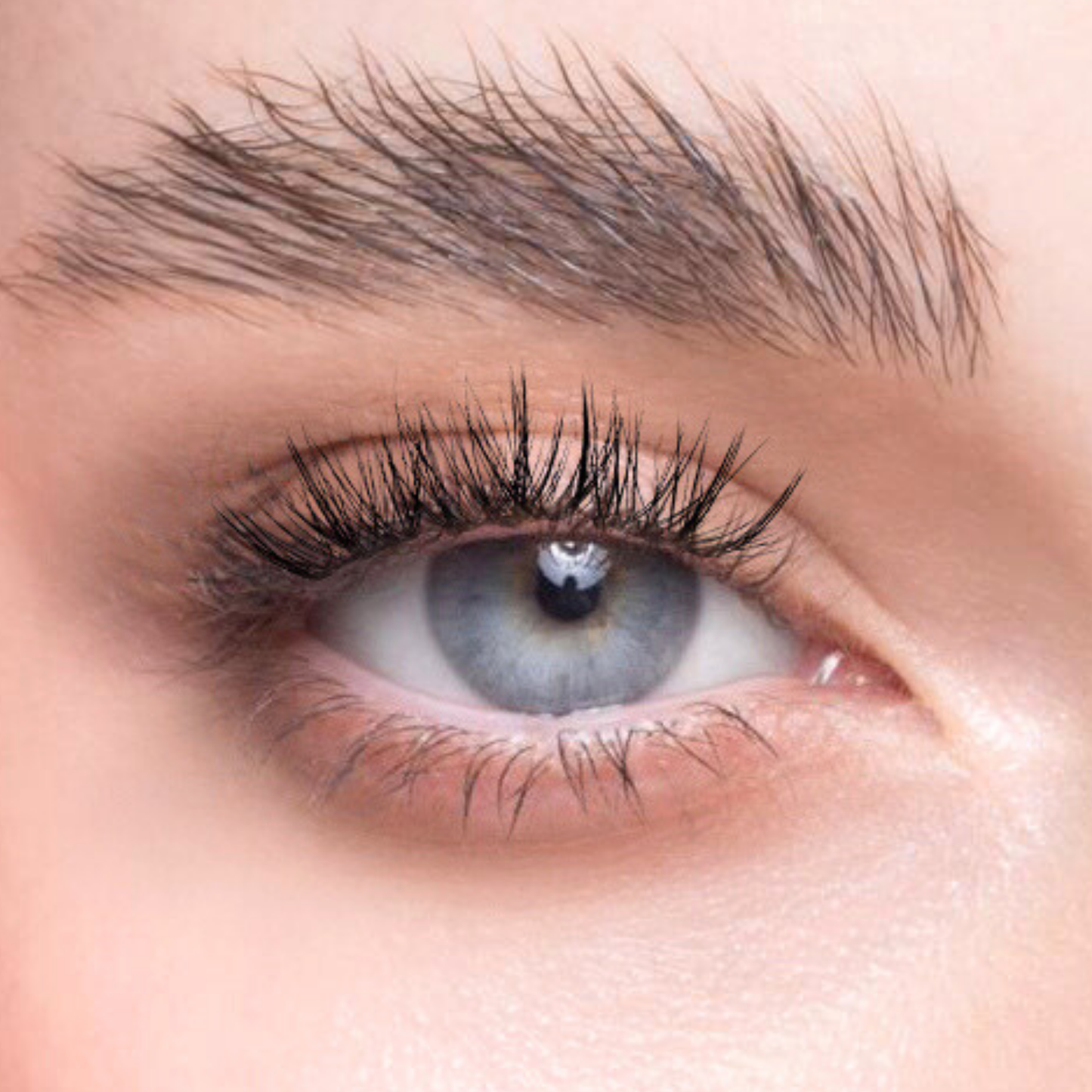 Dreamy Dozen - Fluffy, Long, Flirty