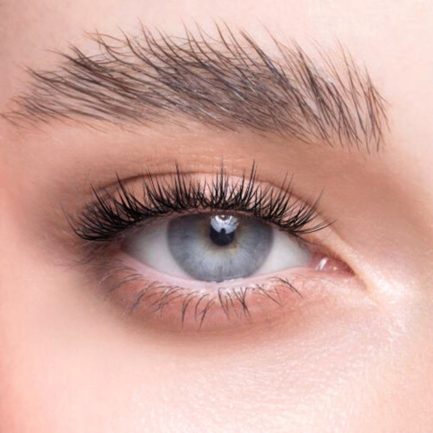 Fluffy Petit - Wispy, Short, Polished
