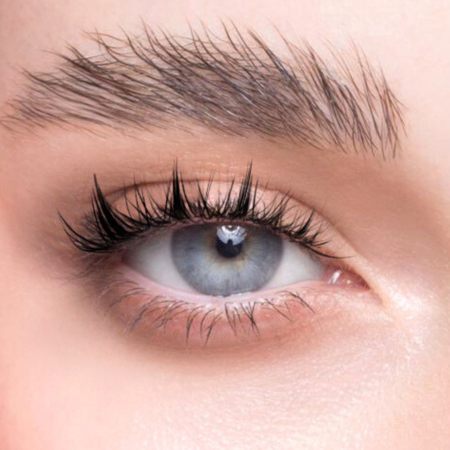 Lash Macarons - Subtle, Tapered, Cute